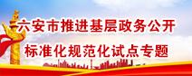 六安市推进基层政务公开标准化规范化试点专题